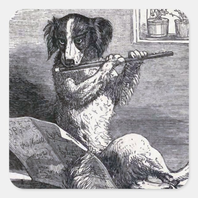 Pegatina Cuadrada ilustracion de época "Perro jugando a la flauta" (Anverso)