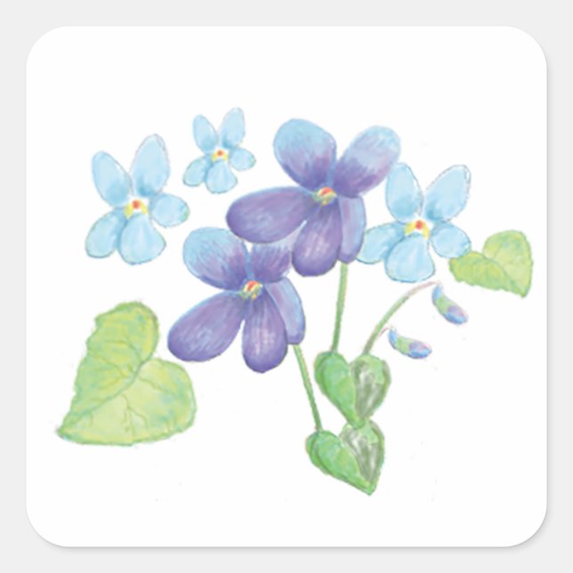 Pegatina Cuadrada Ilustracion de flores violetas silvestres (Anverso)