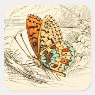 Pegatina Cuadrada Ilustracion de mariposa de época, Naranja y beige