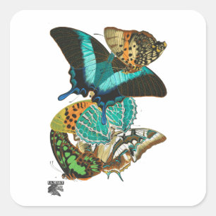 Pegatina Cuadrada Ilustracion de mariposas E.A. Séguy Vintage