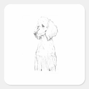 Pegatina Cuadrada Ilustración de perro Caniche estándar 