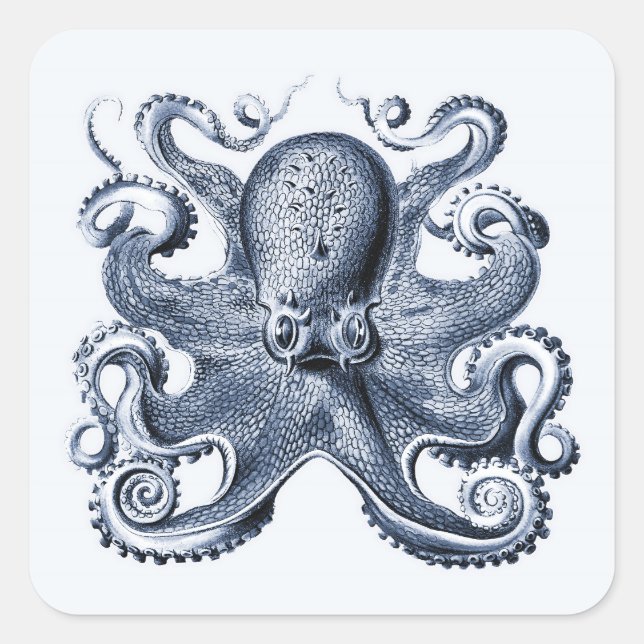 Pegatina Cuadrada Ilustracion de pulpo azul de la Marina por Ernst H (Anverso)