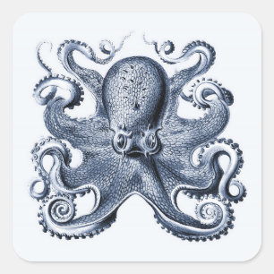 Pegatina Cuadrada Ilustracion de pulpo azul de la Marina por Ernst H