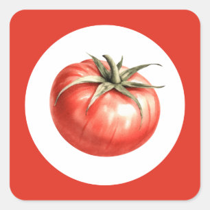 Pegatina Cuadrada Ilustración de tomate en acuarela