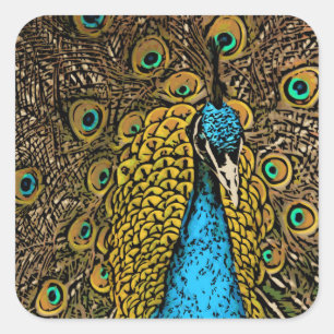 Pegatina Cuadrada Ilustracion del esplendor del pavo real