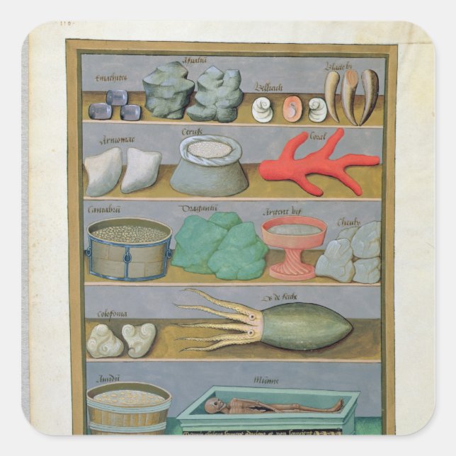Pegatina Cuadrada Ilustracion del "Libro de Medicinas Simples" (Anverso)