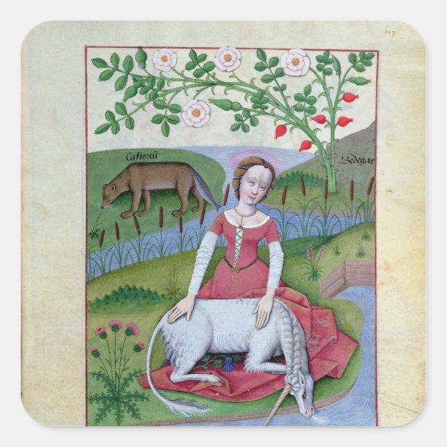 Pegatina Cuadrada Ilustracion del "Libro de Medicinas Simples" (Anverso)