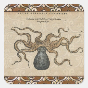 Pegatina Cuadrada Ilustracion Octopus Kraken Vintage