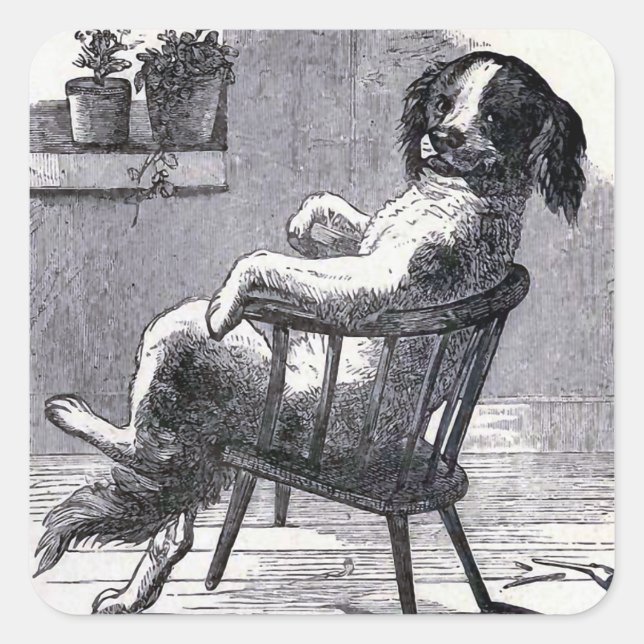 Pegatina Cuadrada ilustracion "Perro sentado en una silla" (Anverso)
