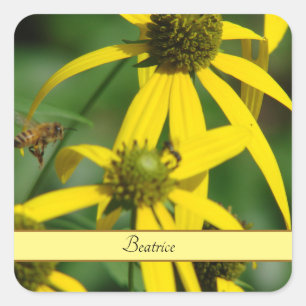 Pegatina Cuadrada Ilustración Personalizada de Abeja Melífera Vintag