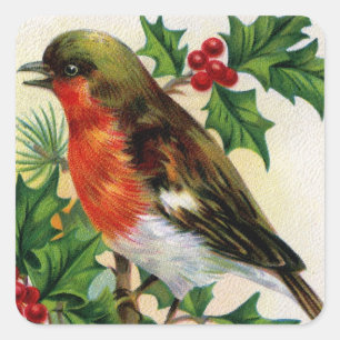 Pegatina Cuadrada Ilustracion Robin Vintage