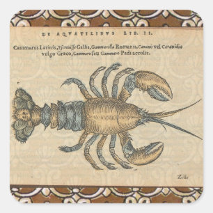 Pegatina Cuadrada Ilustración Vintage de Langosta: Damask Costero