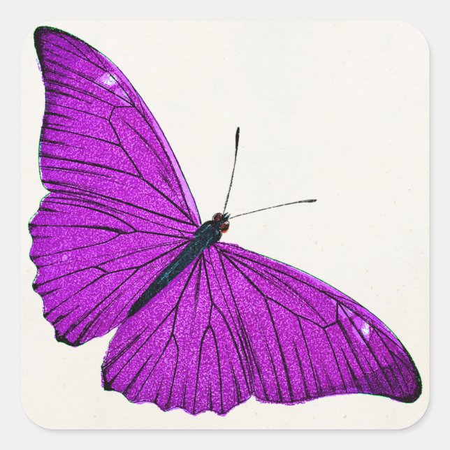 Pegatina Cuadrada Ilustracion Vintage Fuchsia Purple Butterfly 1800 (Anverso)