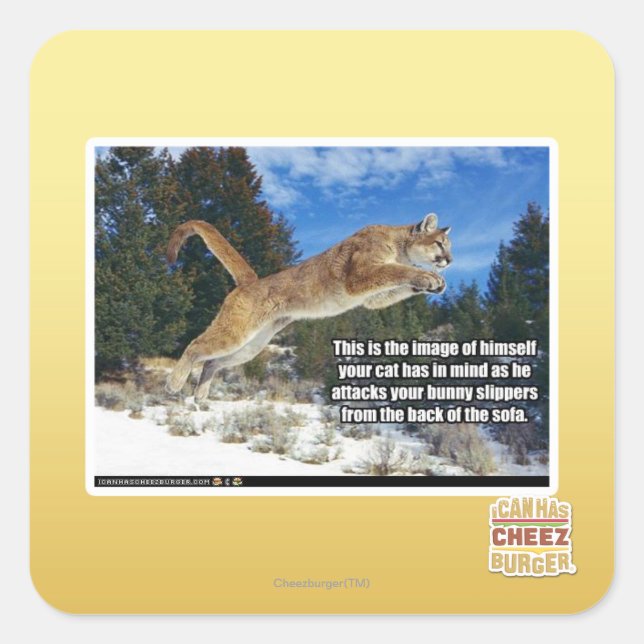 Pegatina Cuadrada Imagen de gato (Anverso)