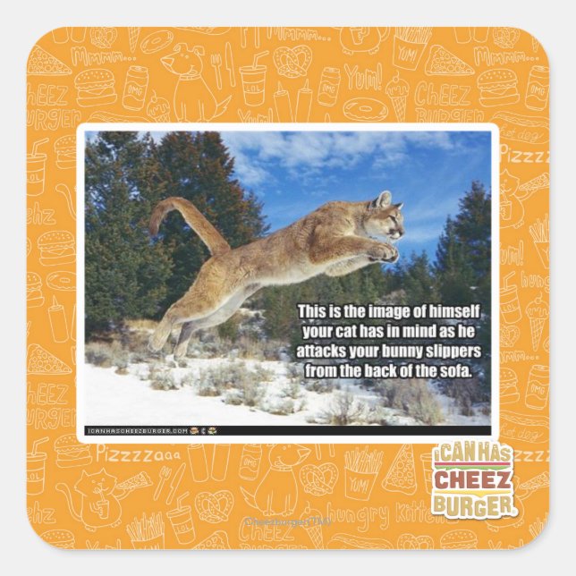 Pegatina Cuadrada Imagen de gato (Anverso)
