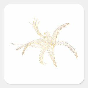 Pegatina Cuadrada Imagen gráfica de la línea dorada de una flor gerb