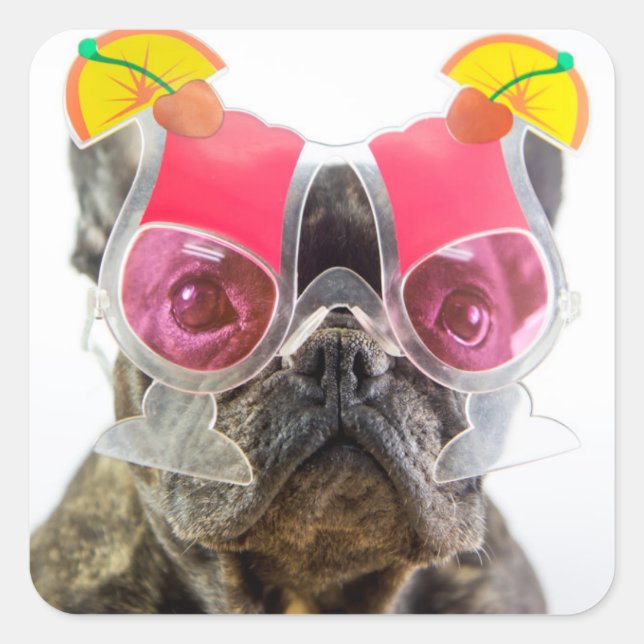 Pegatina Cuadrada Imágenes de Getty | Perro con gafas de cóctel (Anverso)