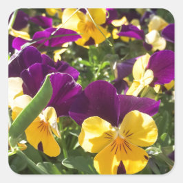 PEGATINA CUADRADA IMG_4738.JPG