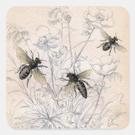 Pegatina Cuadrada Impresión de arte de miel de abeja