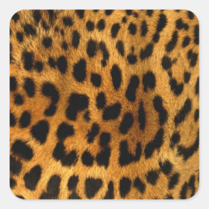 Pegatina Cuadrada Impresión de leopardo