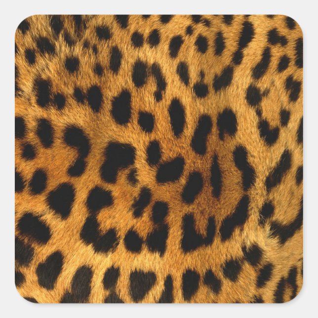 Pegatina Cuadrada Impresión de leopardo (Anverso)