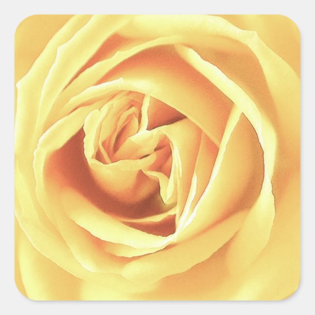 Pegatina Cuadrada Impresión de rosa amarilla (Anverso)