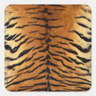 Pegatina Cuadrada Impresión de tira de pepita