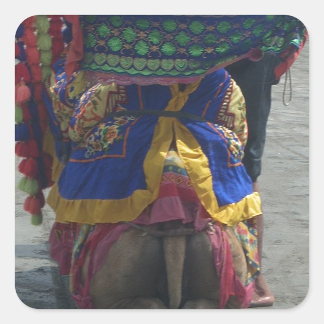 Pegatina Cuadrada Impresión/gráfico de arte capilar caprichoso (Anverso)