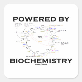 Pegatina Cuadrada Impulsado Por Bioquímica (Ciclo Krebs)