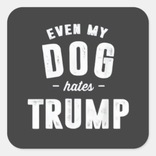 Pegatina Cuadrada Incluso mi perro odia a Trump contra el humor