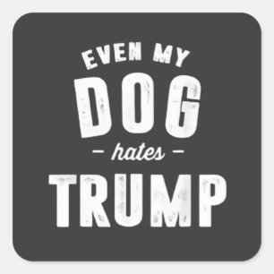 Pegatina Cuadrada Incluso mi perro odia a Trump contra el humor