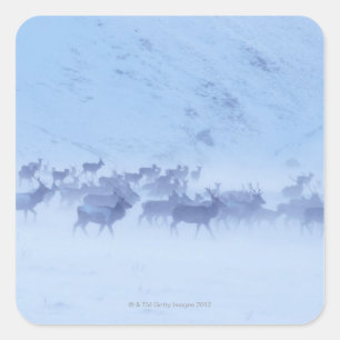 Pegatina Cuadrada Inglaterra