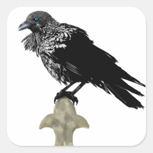 Pegatina Cuadrada Inked Raven
