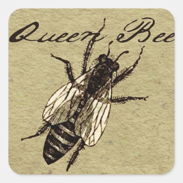 Pegatina Cuadrada Inscripción de Bug de Vida Silvestre Queen Bee (Anverso)