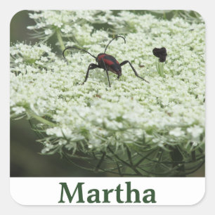 Pegatina Cuadrada Insectos en la flor vieja 