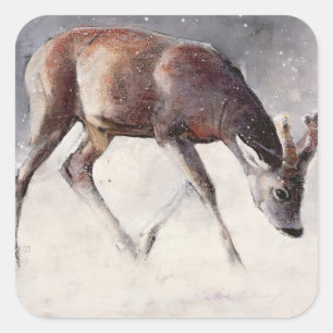 Pegatina Cuadrada Invierno de Roe Buck 2000