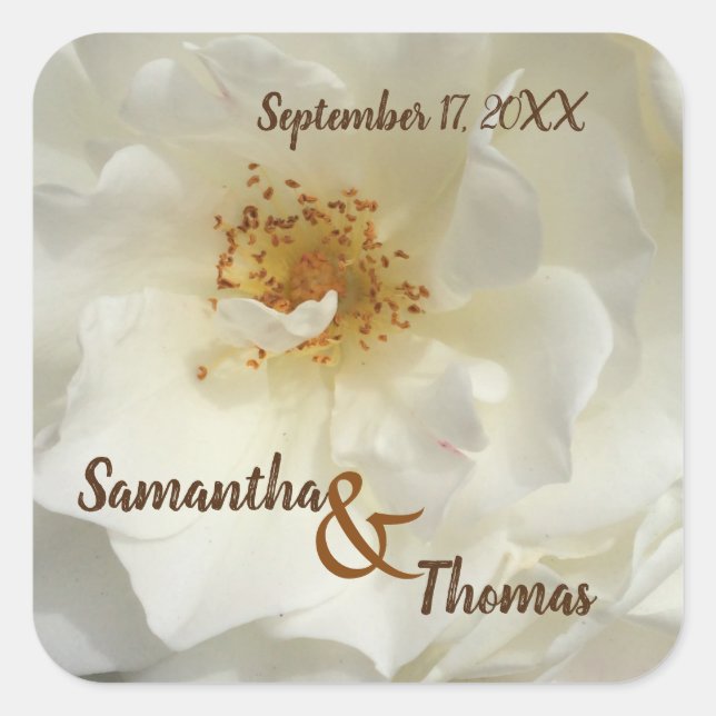 Pegatina Cuadrada Invitado de flores de fotos de rosa blanca de la B (Anverso)