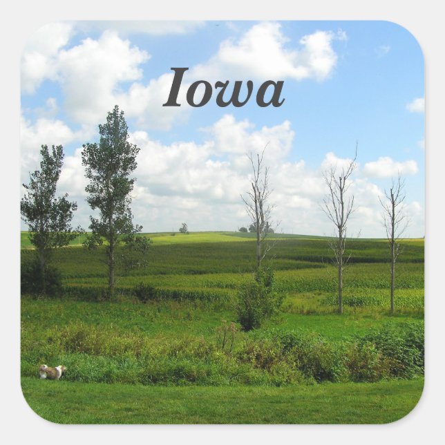 Pegatina Cuadrada Iowa (Anverso)