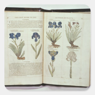Pegatina Cuadrada Iris