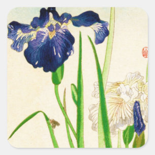 Pegatina Cuadrada Iris azul - Impresión de acuarela japonesa