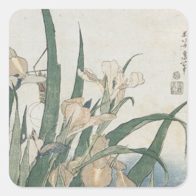 Pegatina Cuadrada Iris Flowers and Grasshopper, c.1830-31 (Anverso)