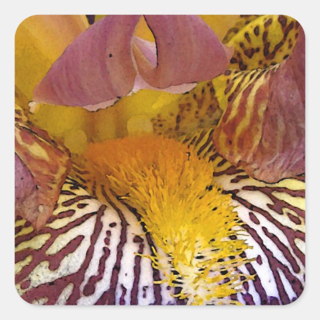 Pegatina Cuadrada Iris íntimo (Anverso)