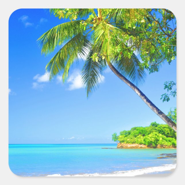 Pegatina Cuadrada Isla tropical (Anverso)
