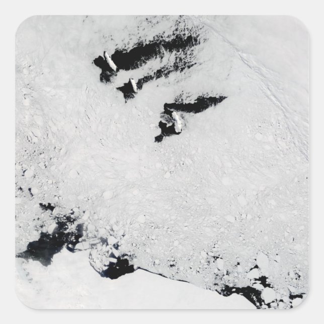 Pegatina Cuadrada Islas Balleny, cerca de la Antártida (Anverso)