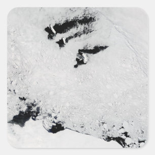 Pegatina Cuadrada Islas de Balleny, cerca de la Antártida