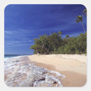 Pegatina Cuadrada Islas Fiji, Tavarua. Esta playa en Tavarua,