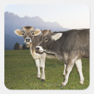 Pegatina Cuadrada Italia, Alto Adige