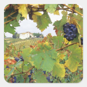 Pegatina Cuadrada Italia, casa de campo toscana vista a través de