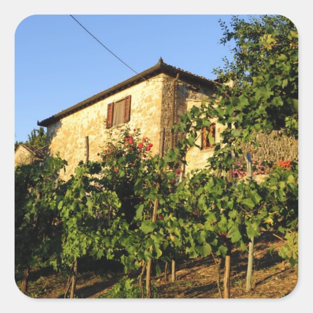 Pegatina Cuadrada Italia, Toscana, Greve. Escenas de vino de verano  (Anverso)