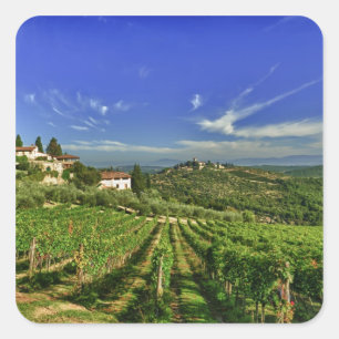 Pegatina Cuadrada Italia, Toscana, Greve. Los viñedos de Castello
